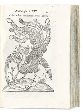 (NATURAL HISTORY.) Ulisse Aldrovandi. Ornithologiae, Hoc est De Avibvs Historiae.